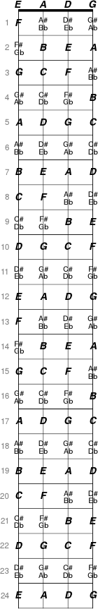 Bass fretboard 60e7eb30fafdd9887e4c6046ff342aeeee43e609eb4fbdb4fb477689f62741e2