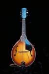 Mandolin adcab39584b8a9188bfd39bd0001500a21a3b92a821c40828d87aee71ce3ef21