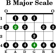 B major scale