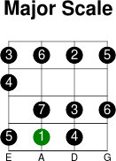 3thstring major intervals scale